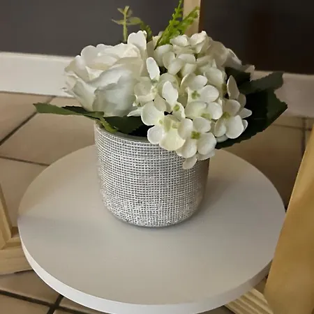 Plumes De L'agout Appartement Castres (Tarn)